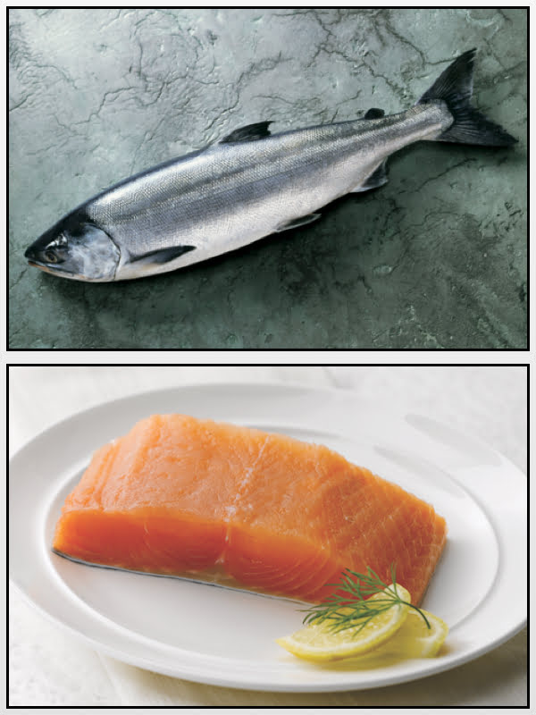 Keta Salmon Alaska seafood