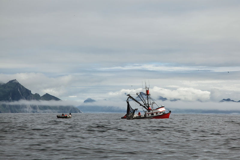Alaska Seafood Fishing Scenery