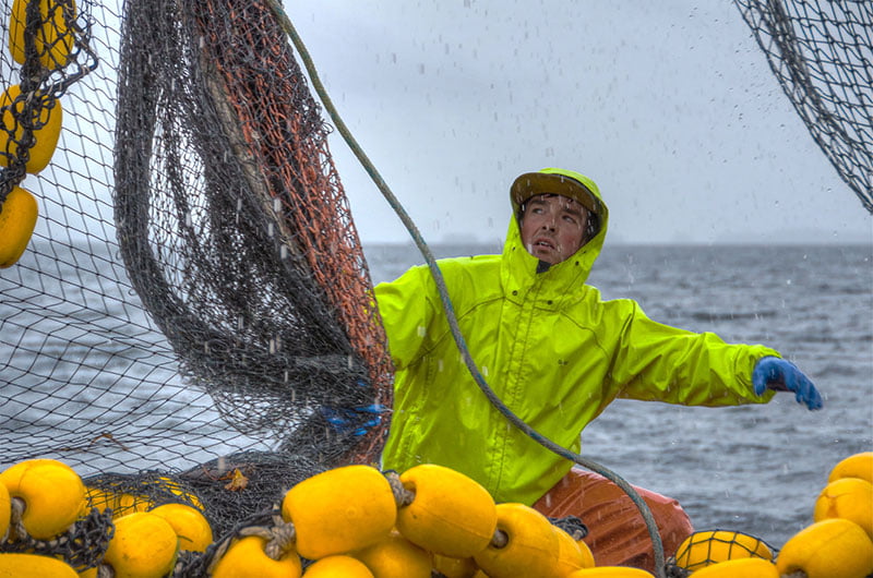 Alaskan Fisherman in action